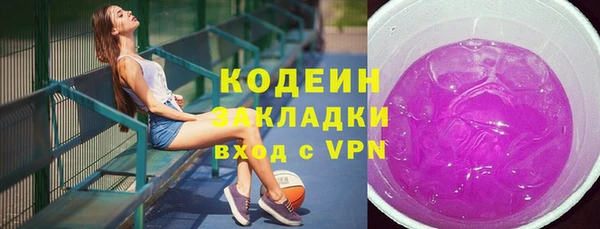 герыч Мегион