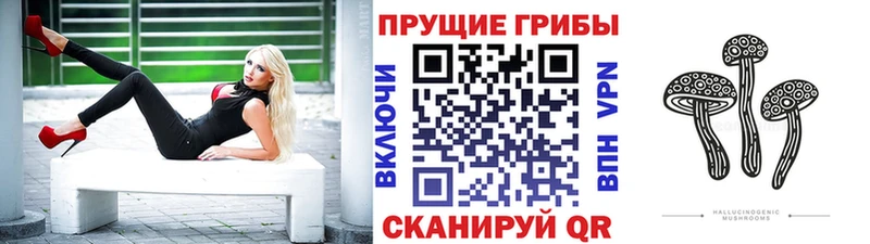 Галлюциногенные грибы Magic Shrooms  что такое   Североуральск 