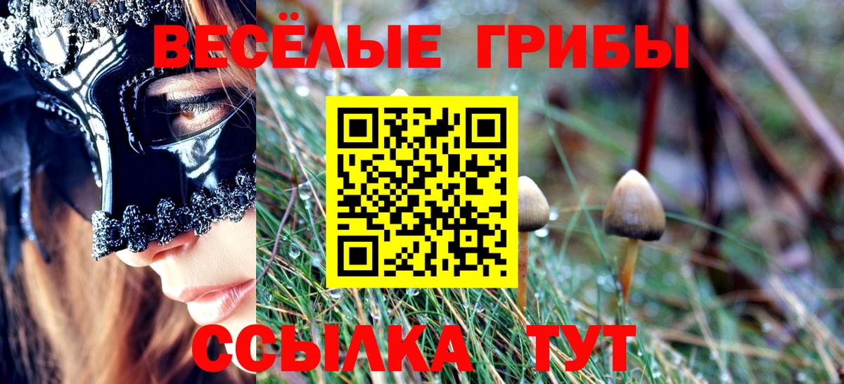 Псилоцибиновые грибы Psilocybe  Североуральск  Галлюциногенные грибы мухоморы 